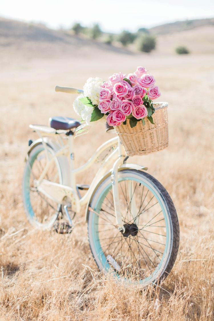 bicycle with flowers pictures