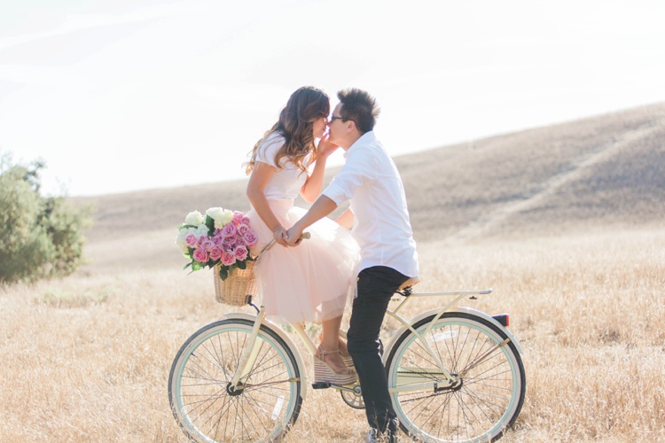 tulle skirt engagement