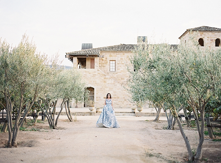 santa barbara olive grove