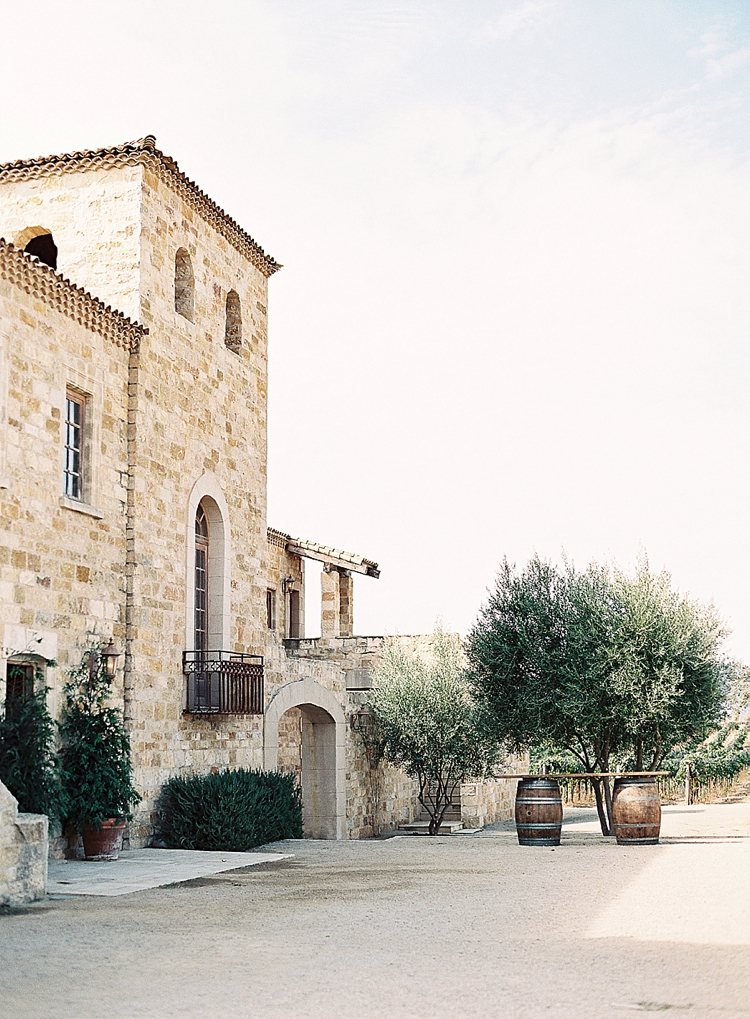 santa barbara olive grove