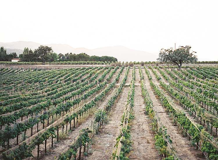 sunstone vineyards