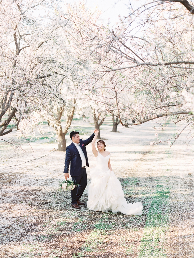 almond orchard california