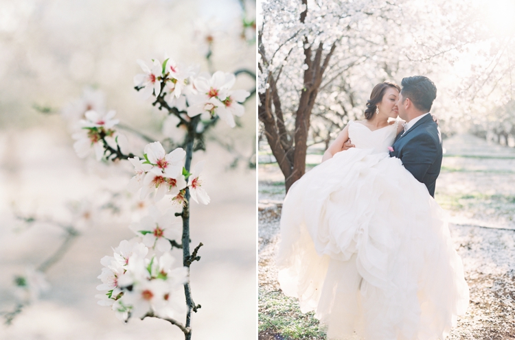 almond orchard in bakersfield california