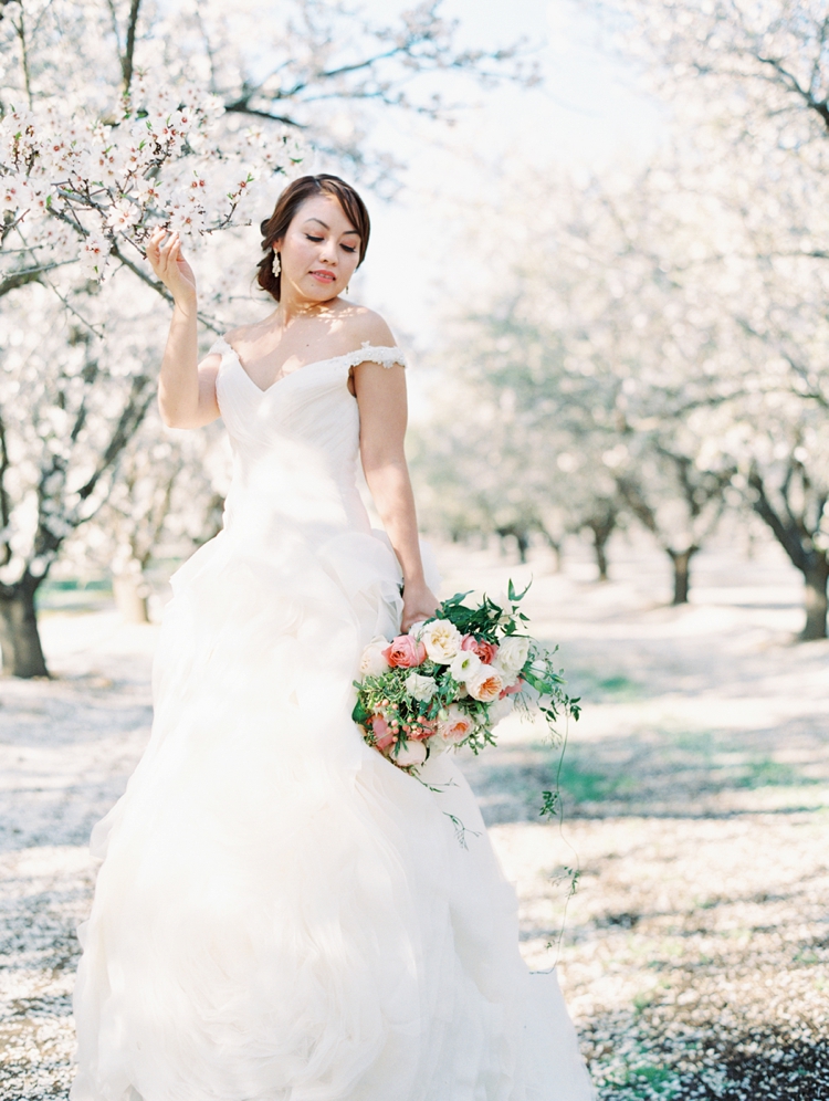 almond orchard photography