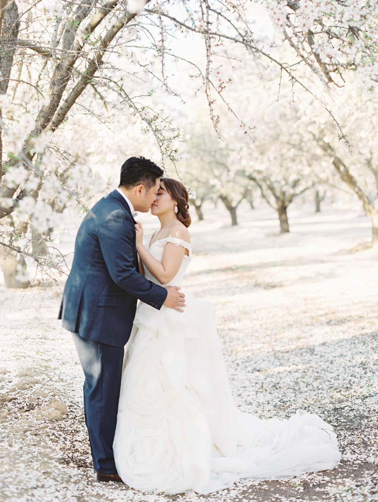 almond orchard wedding shoot