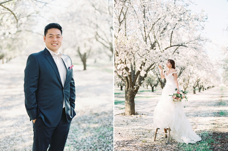 bakersfield almond orchard wedding photos