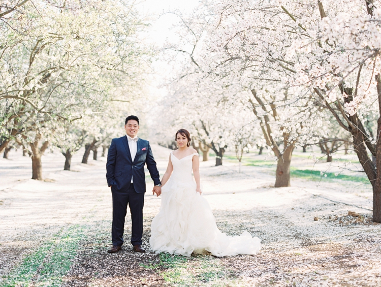 cherry blossoms engagement photos