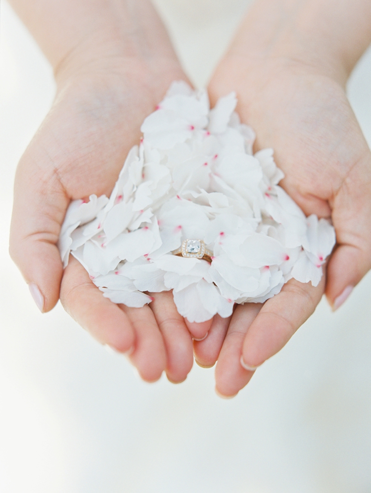 cherry blossoms engagement session