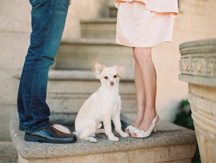 engagement pictures with dogs