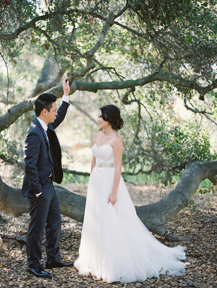 oak tree engagement california