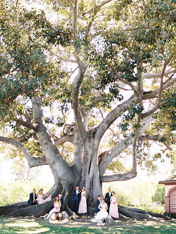 bridal party picture