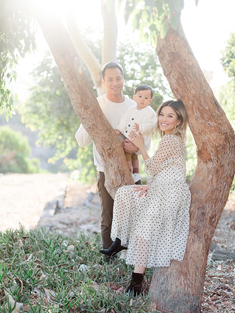 orange county holiday mini session