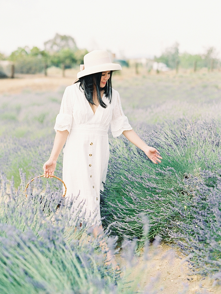 fork and plow lavender field