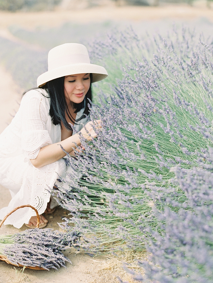 trini mai lavender field